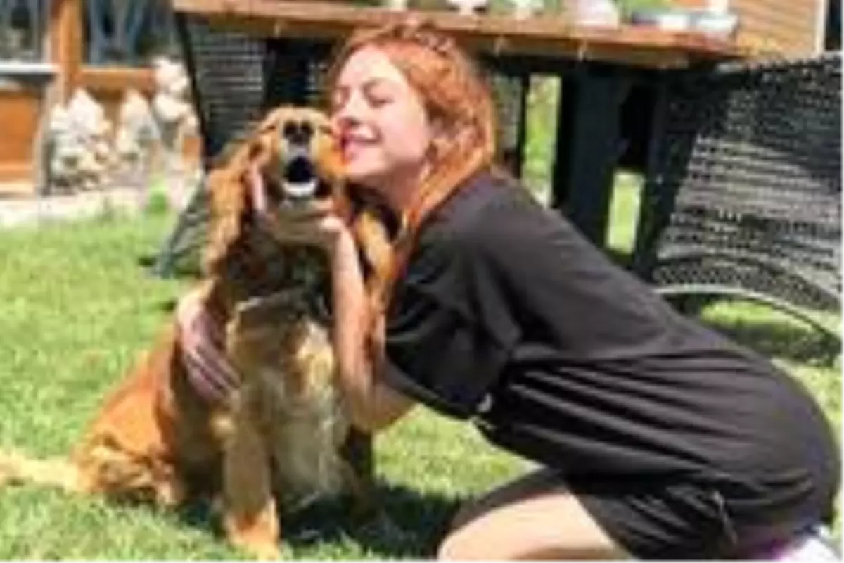 Melis\'ten örnek davranış