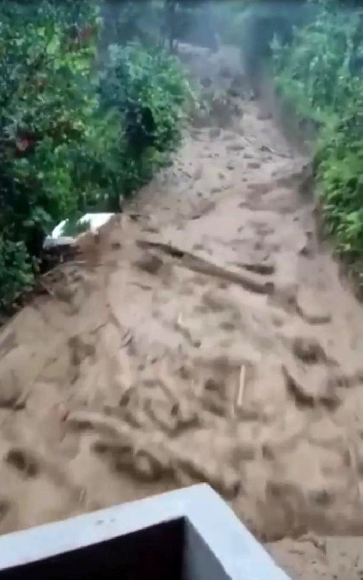 Rize\'de selin hasarı, gün ağarınca ortaya çıktı (2)