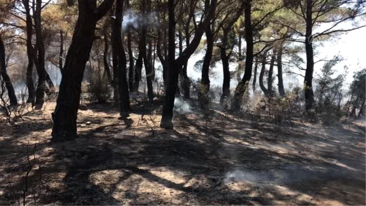 Çanakkale\'de orman yangını çıktı (2)