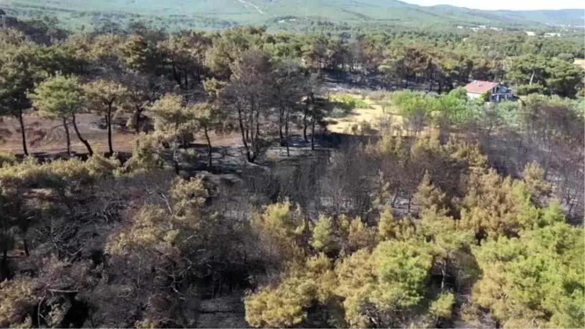 Gelibolu\'da çıkan orman yangını kontrol altına alındı - ÇANAKKALE