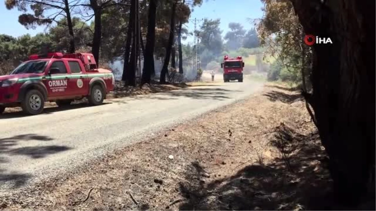 Saros\'da ormanlık alandaki yangın kontrol altına alındı