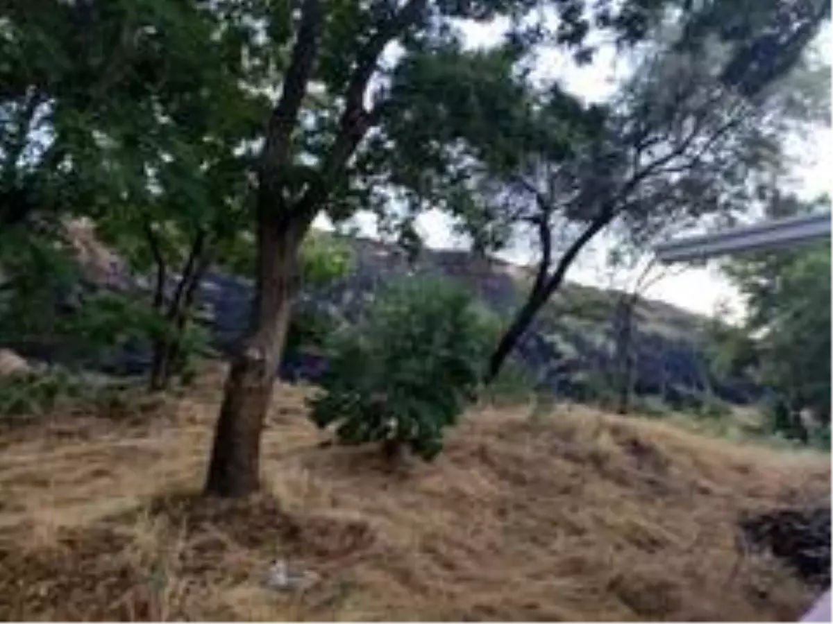 Ankara\'da sit alanında yangın