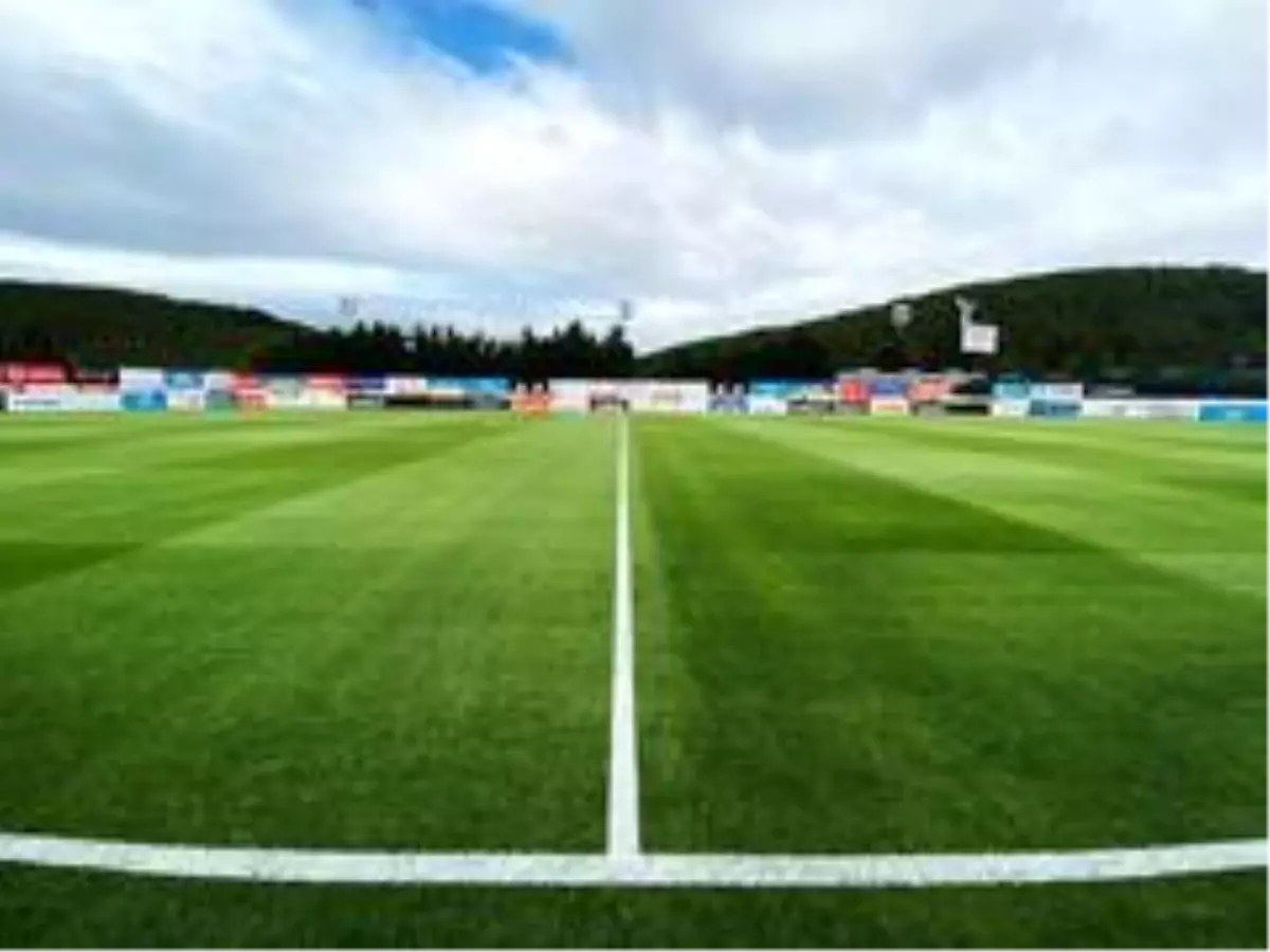 Beşiktaş Nevzat Demir Tesisleri\'ndeki antrenman sahası yenilendi