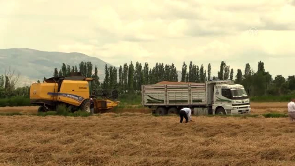 Biçerdöver denetimleri yılda 30 bin ton buğday kaybını önlüyor