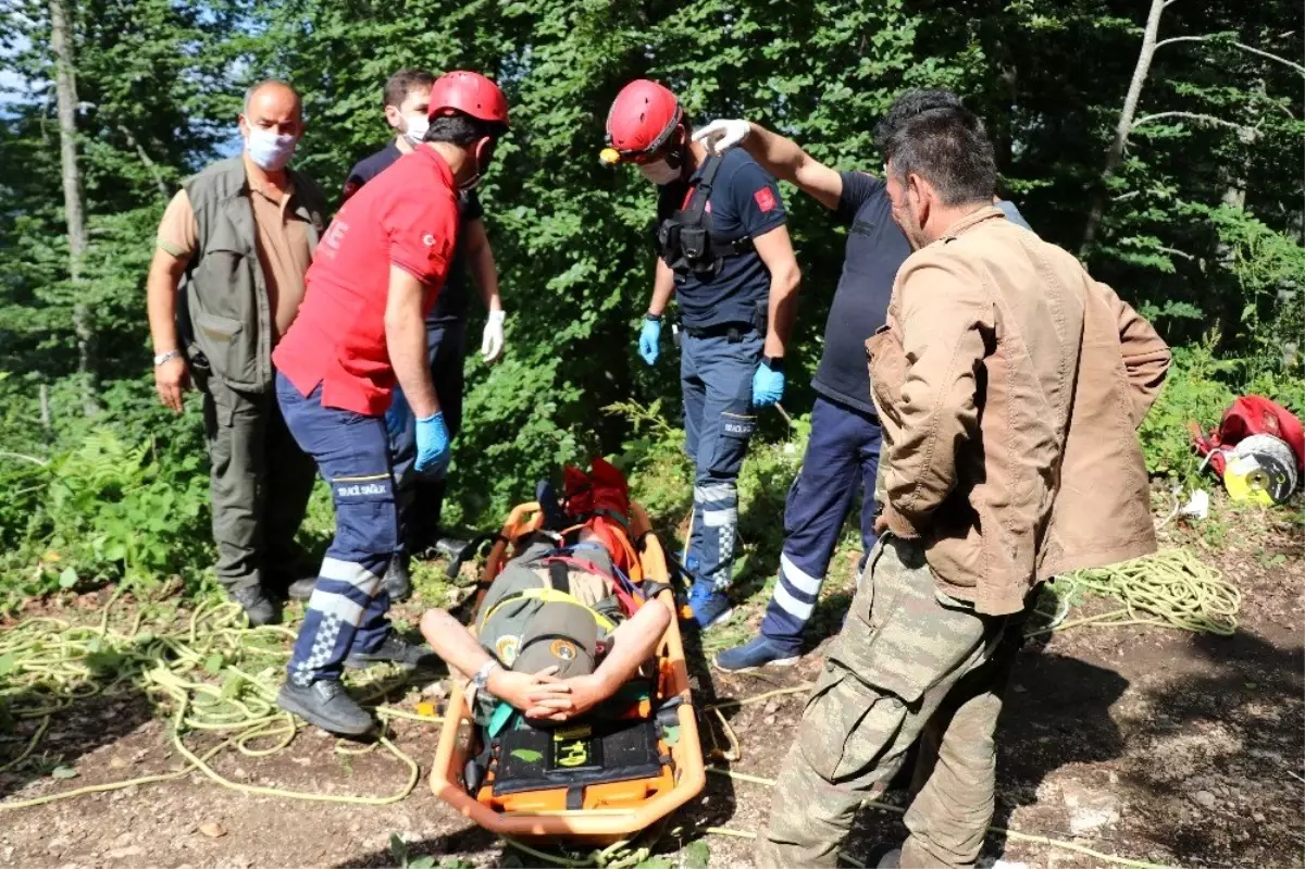 Bolu\'da ormanda çalışırken 100 metreden düşen memur, operasyonla kurtarıldı