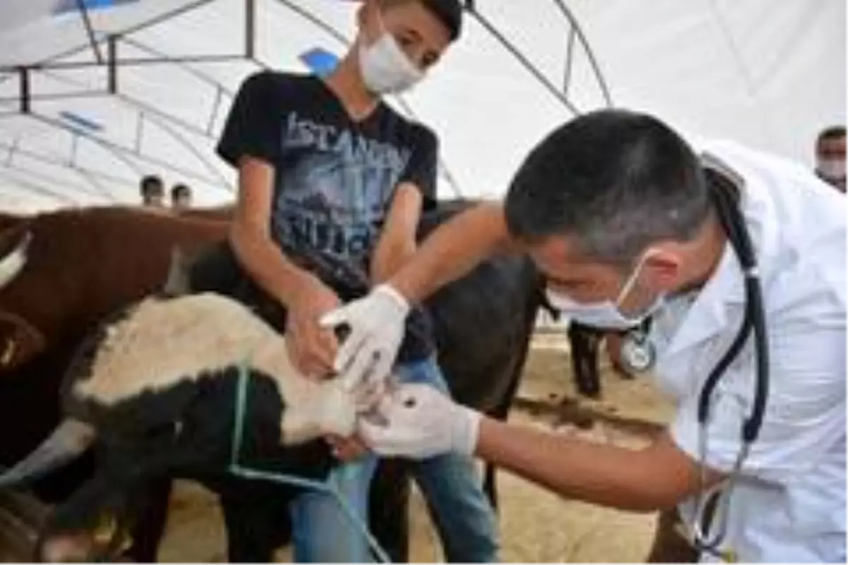 Kurban Pazarı pandemi koşullarına göre hazırlandı