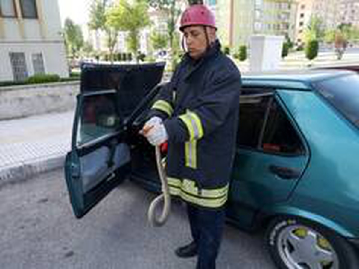 Otomobile giren yılan paniğe neden oldu