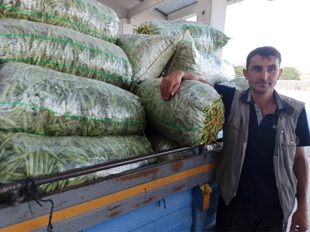 Taze fasulye fiyatı ile ne üreticiyi ne de alıcıyı memnun etti