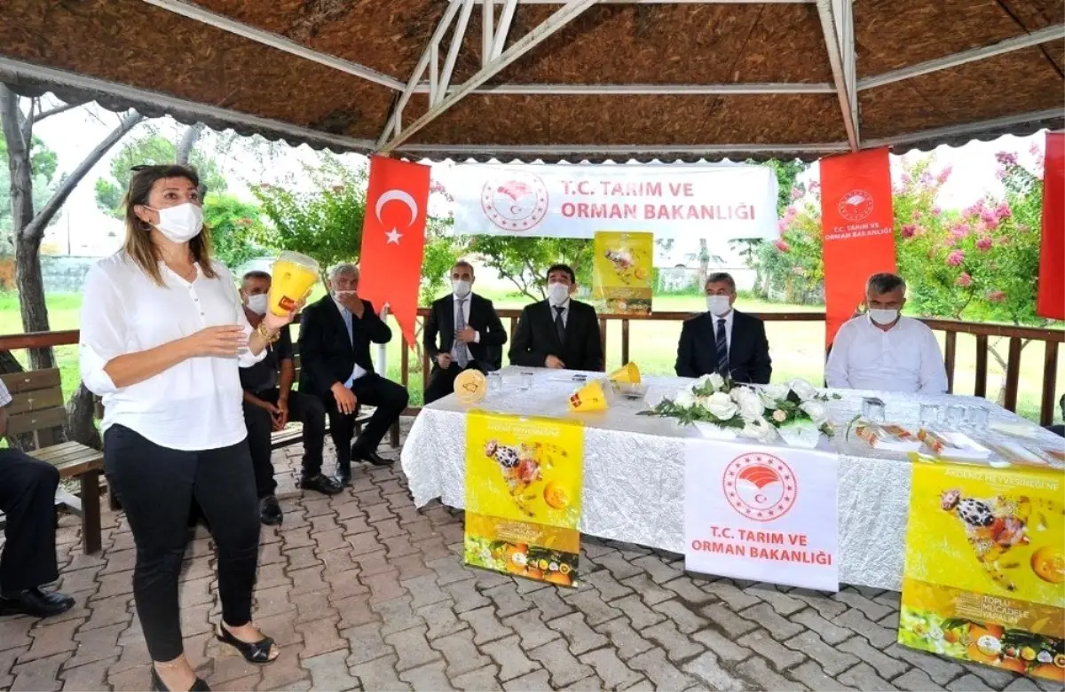 Üreticilere Akdeniz meyve sineği tuzağı dağıtıldı