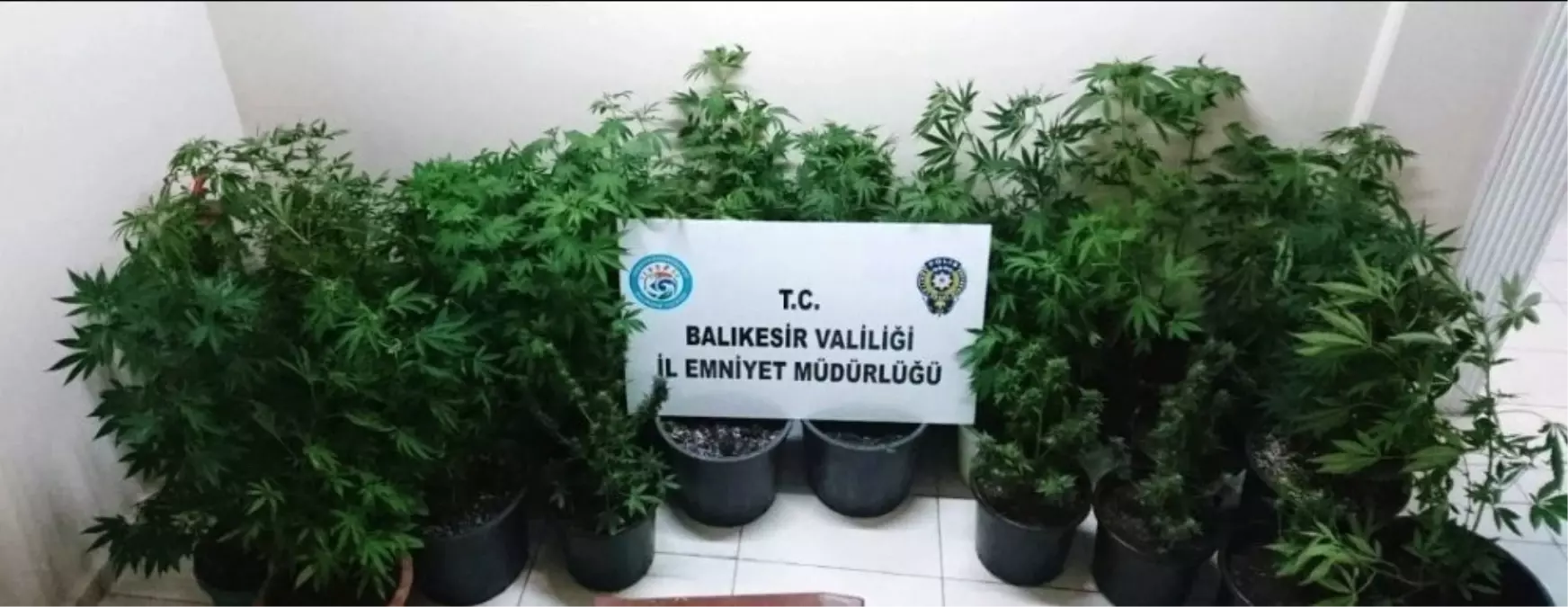 Balıkesir\'de 5 uyuşturucu taciri yakalandı