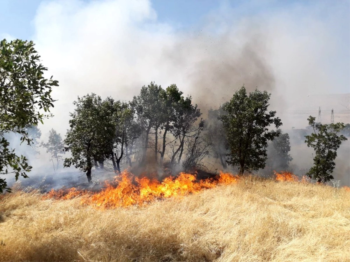 Diyarbakır\'da ağaçlık alanda yangın, 300 dönümlük alan kül oldu