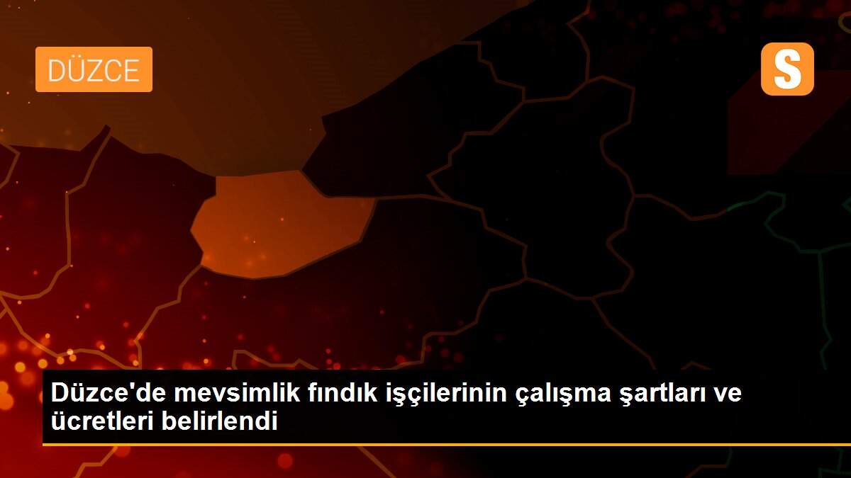 Düzce\'de mevsimlik fındık işçilerinin çalışma şartları ve ücretleri belirlendi
