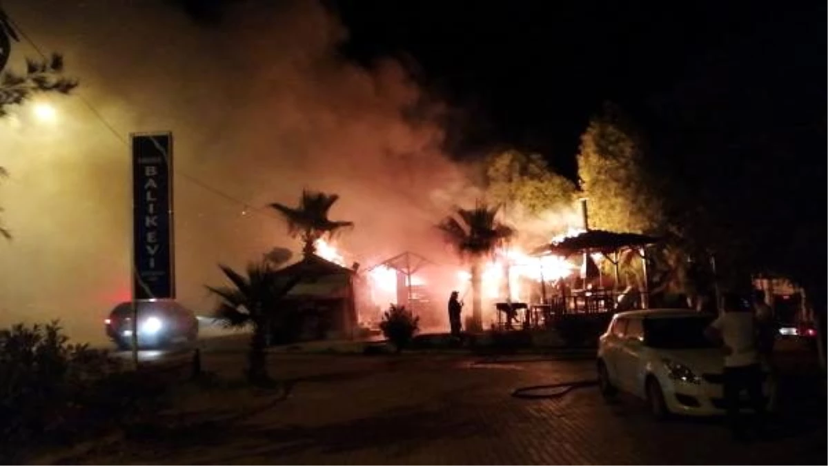 Antalya\'da çıkan yangında restoran kül oldu