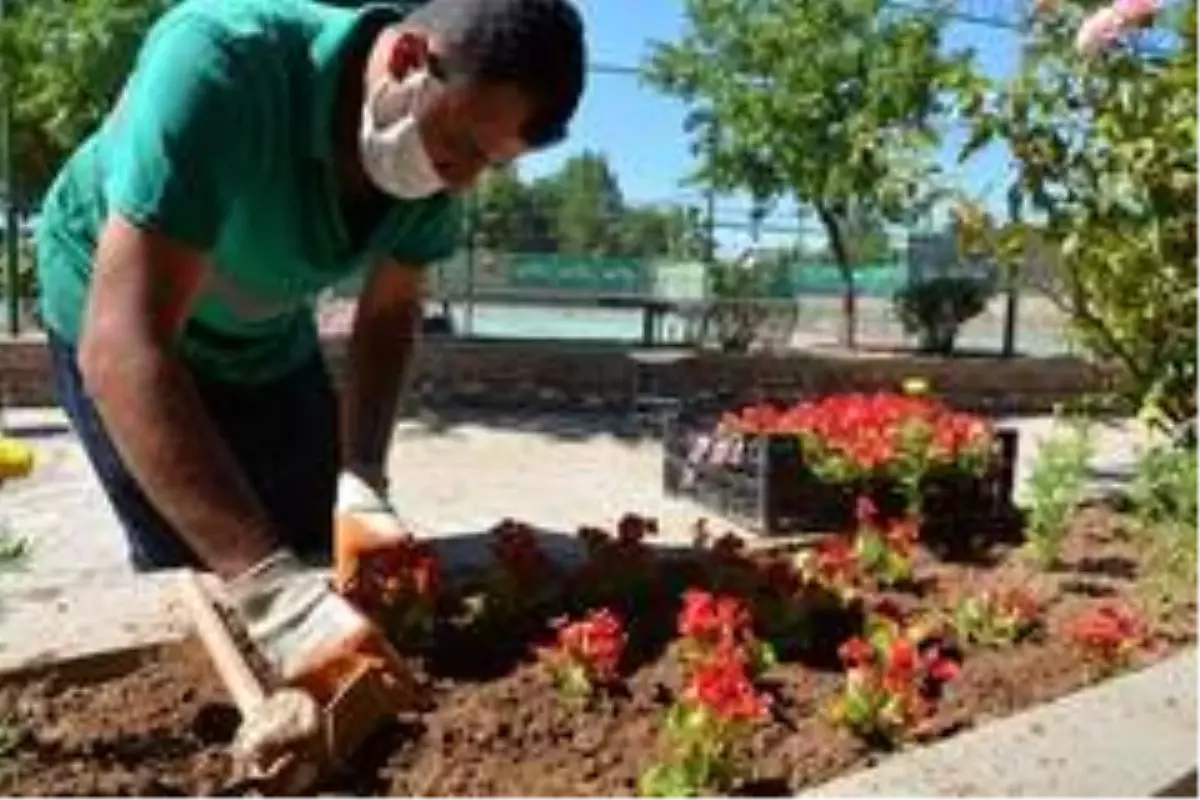 Efeler Belediyesi, tenis kortunda çevre bakım çalışması gerçekleştirdi