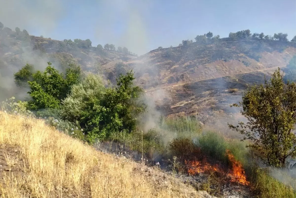 Elazığ\'da 2 gün süren orman yangını söndürüldü