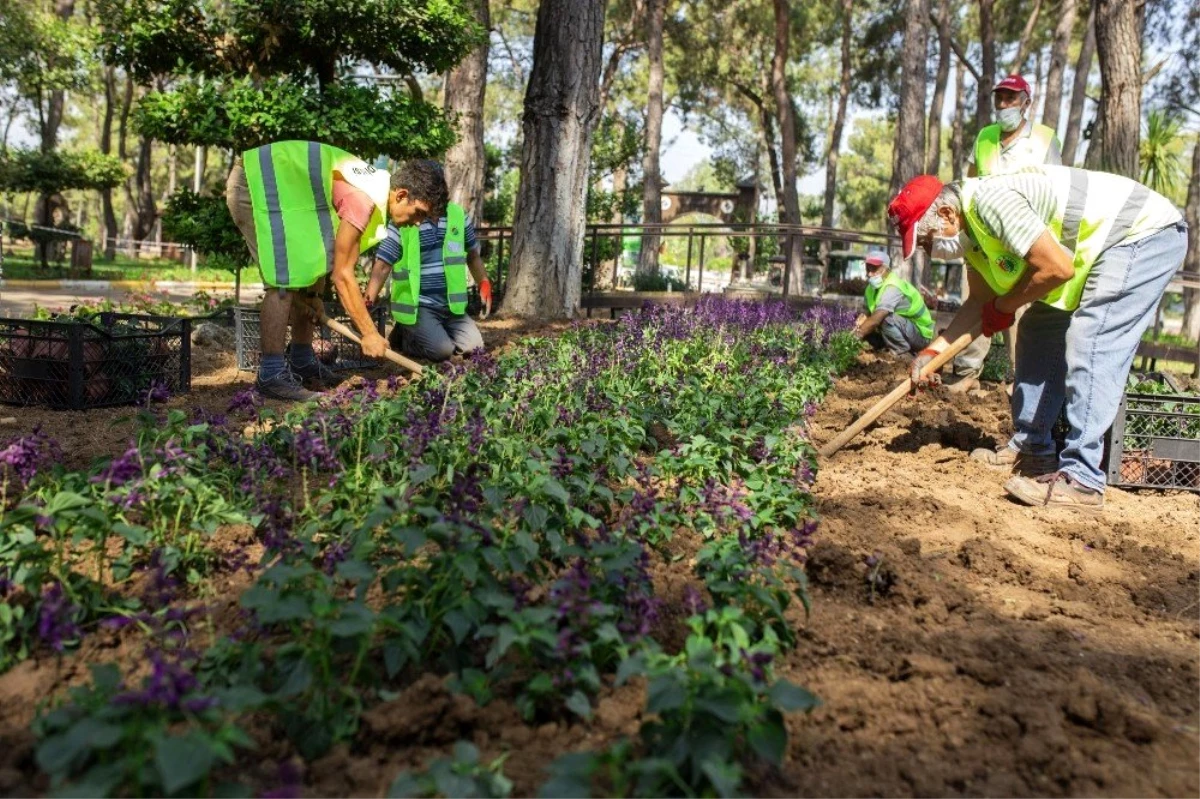 Kepez Belediyesi daha yeşil bir ilçe için çalışıyor