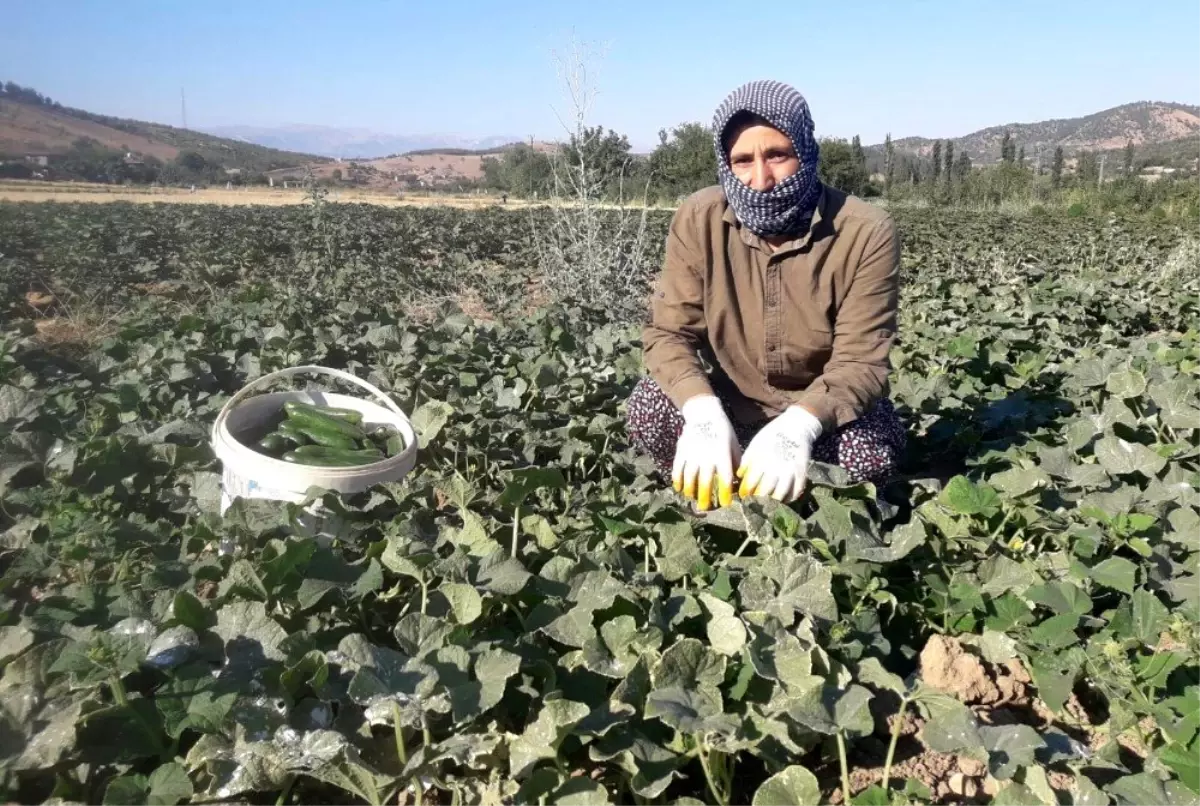 Ev hanımıydı işinin patronu oldu