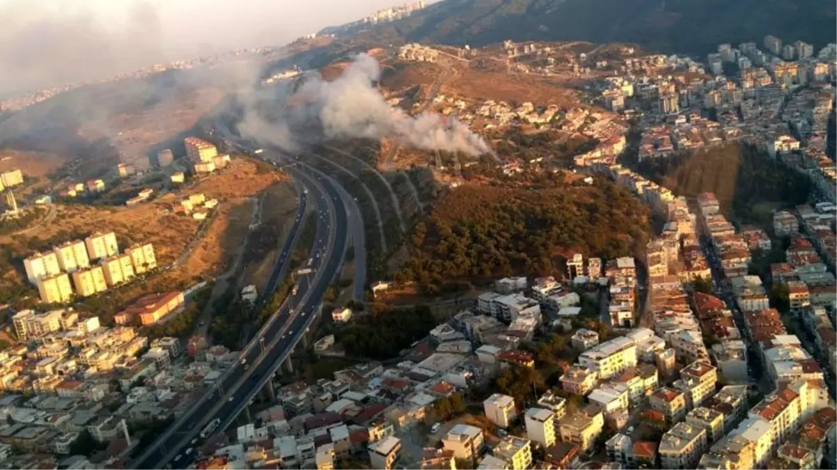 İzmir\'de makilik alanda çıkan yangın kontrol altına alındı