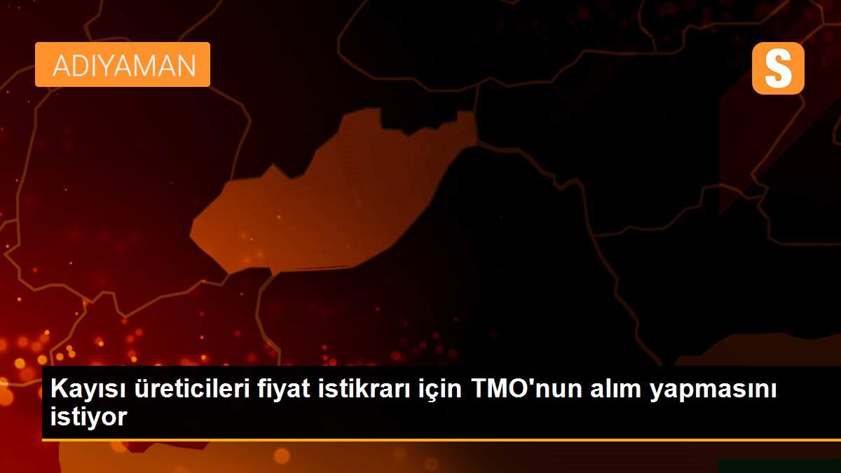 Kayısı üreticileri fiyat istikrarı için TMO\'nun alım yapmasını istiyor