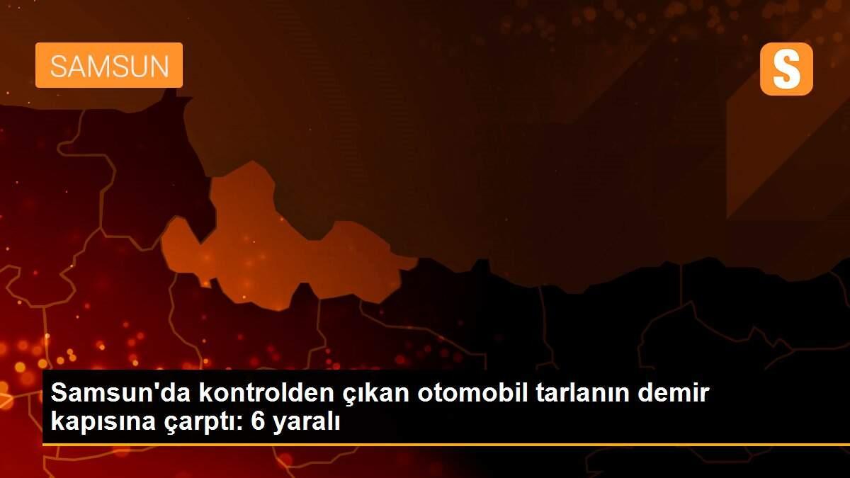 Samsun\'da kontrolden çıkan otomobil tarlanın demir kapısına çarptı: 6 yaralı