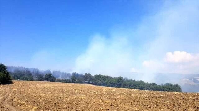 Son dakika: Çanakkale Kemel köyü yakınlarında orman yangını çıktı