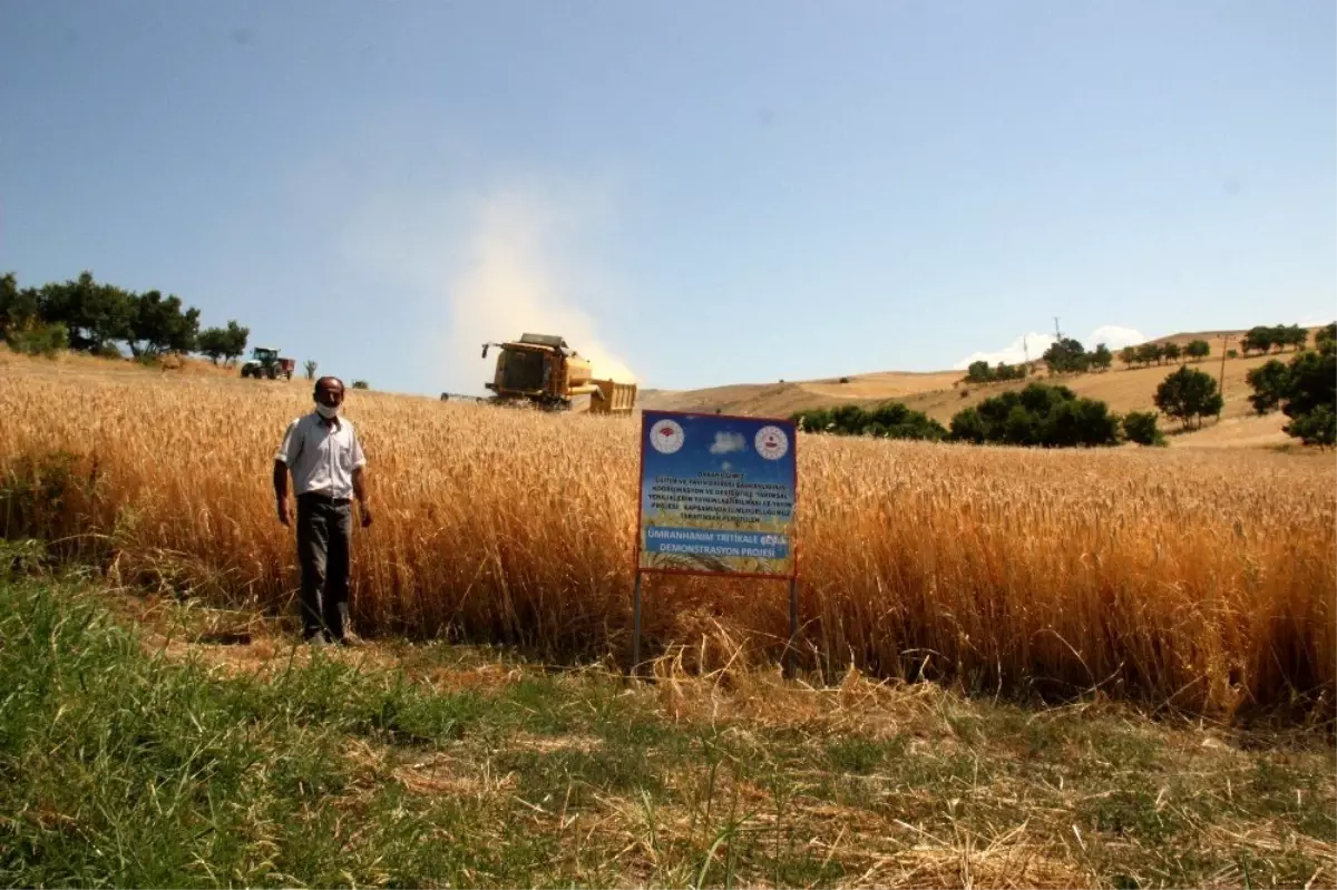 Tunceli\'de tarla günü etkinliği