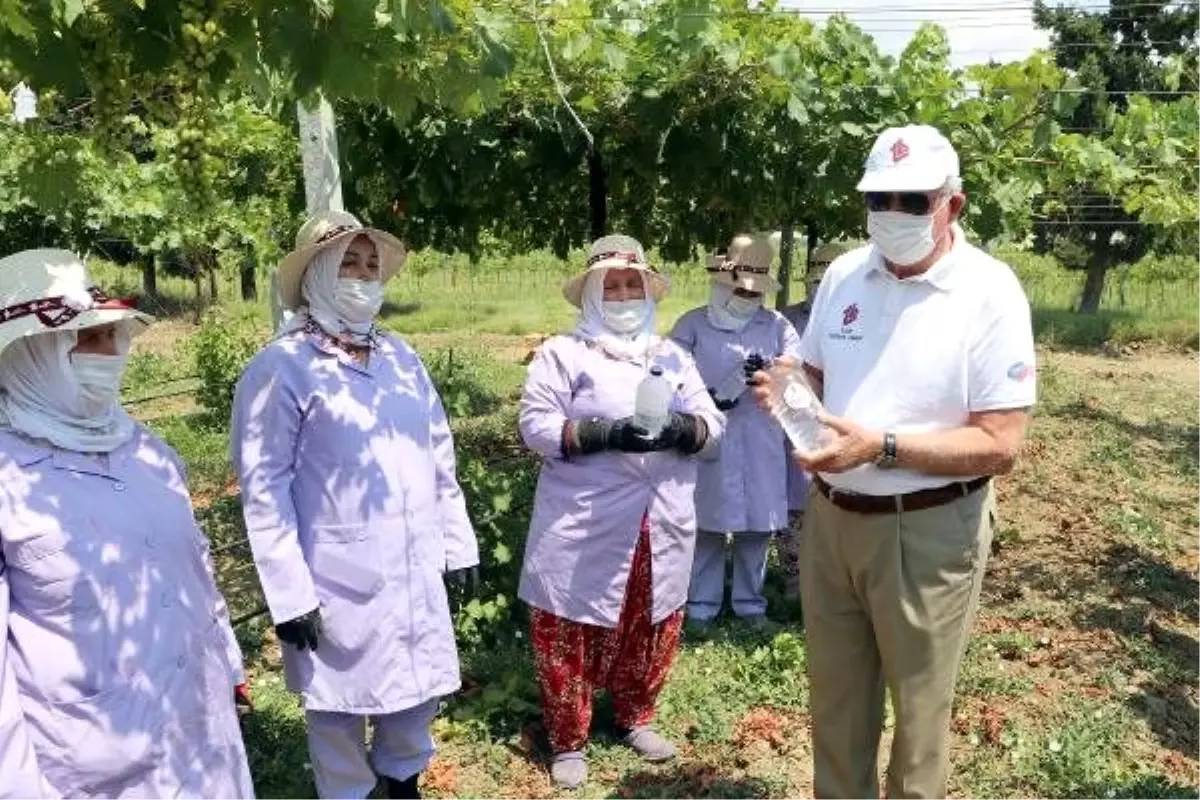 Türk Böbrek Vakfı, aşırı sıcaklara dikkat çekmek için tarım işçilerine su dağıttı