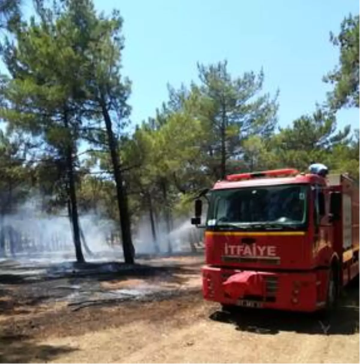 Burç Ormanı\'ndaki yangın erken müdahale ile söndürüldü