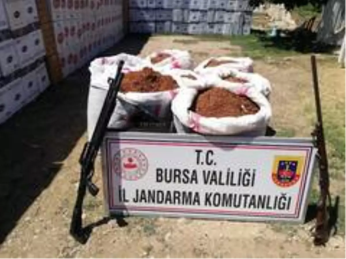 Bursa\'da 260 kilo kaçak tütün ele geçirildi