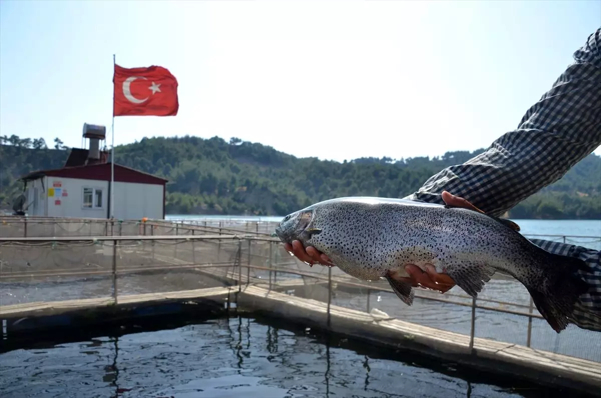 Denizi olmayan Kahramanmaraş\'tan yıllık 25 milyon dolarlık balık ihracatı yapılıyor