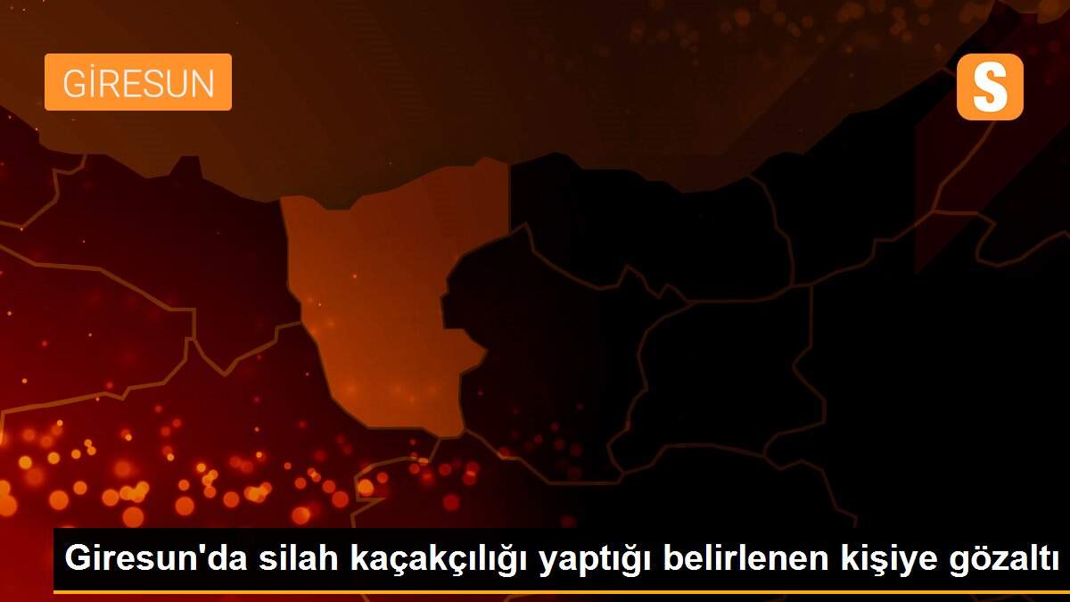 Giresun\'da silah kaçakçılığı yaptığı belirlenen kişiye gözaltı