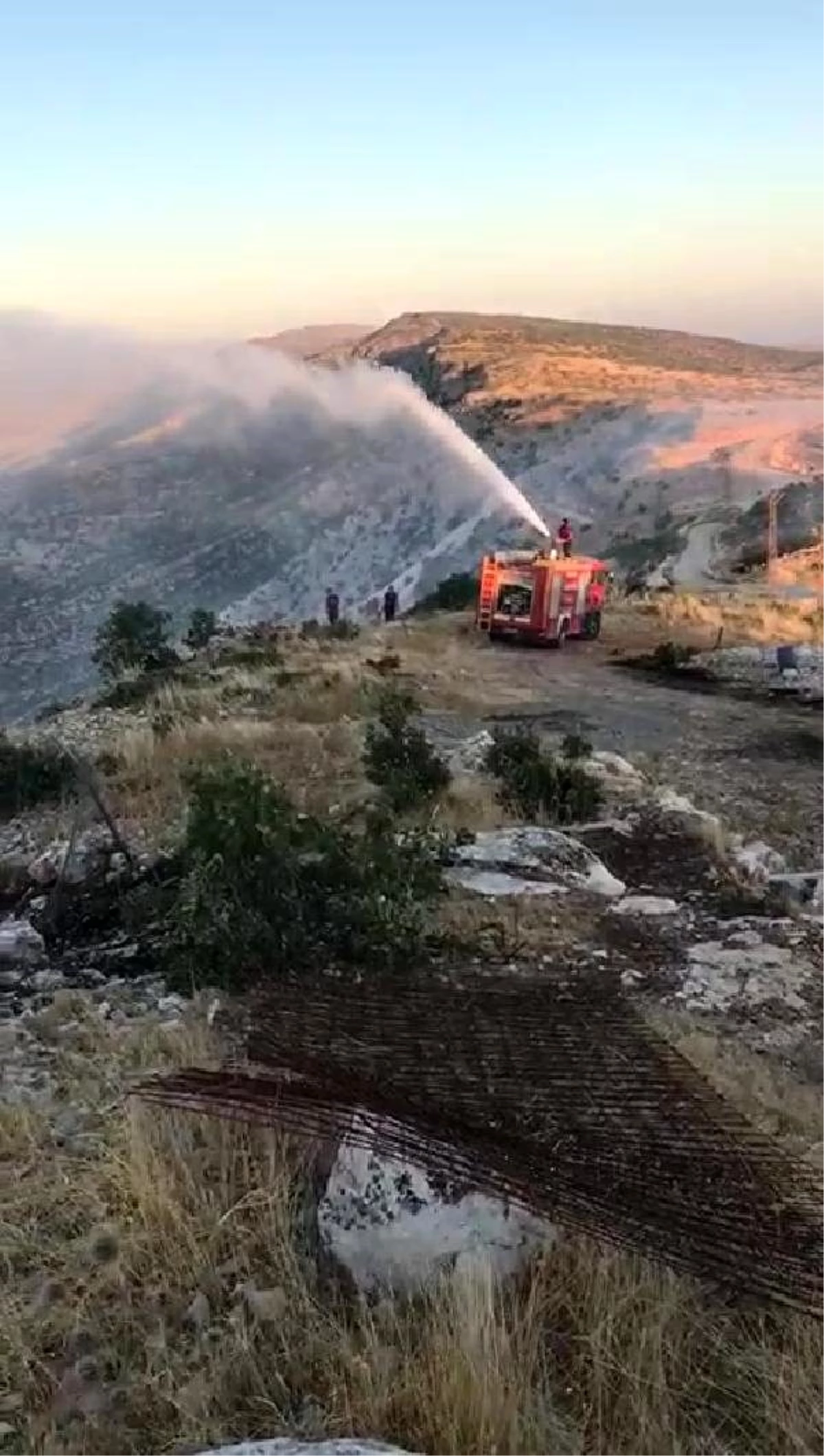 Son dakika haberi... Hasankeyf\'te 2 bin dönüm kırsal alan yandı