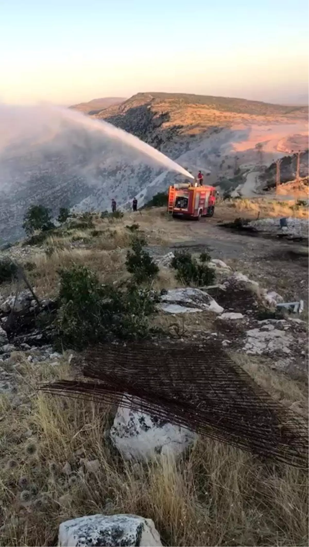 Hasankeyf\'te çıkan yangında 2 bin dönümlük alan kül oldu