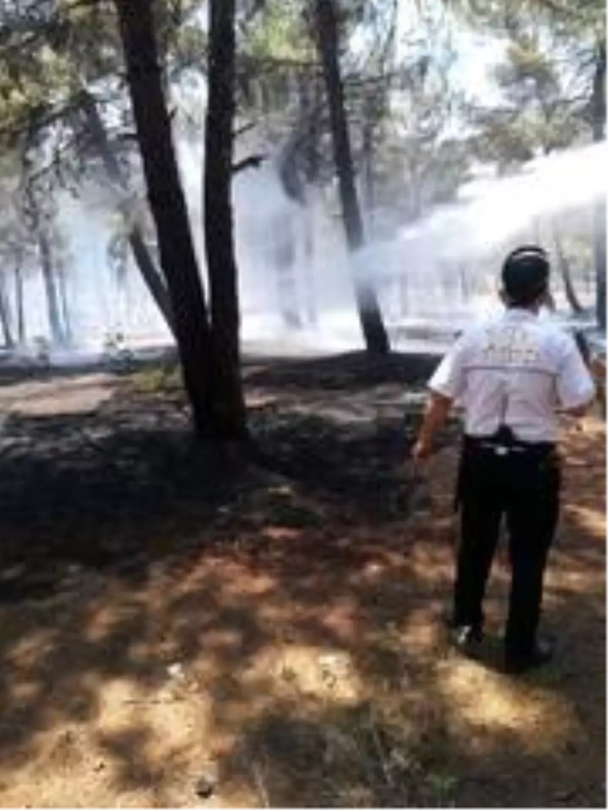 Örtü yangını ağaçlara sıçramadan söndürüldü