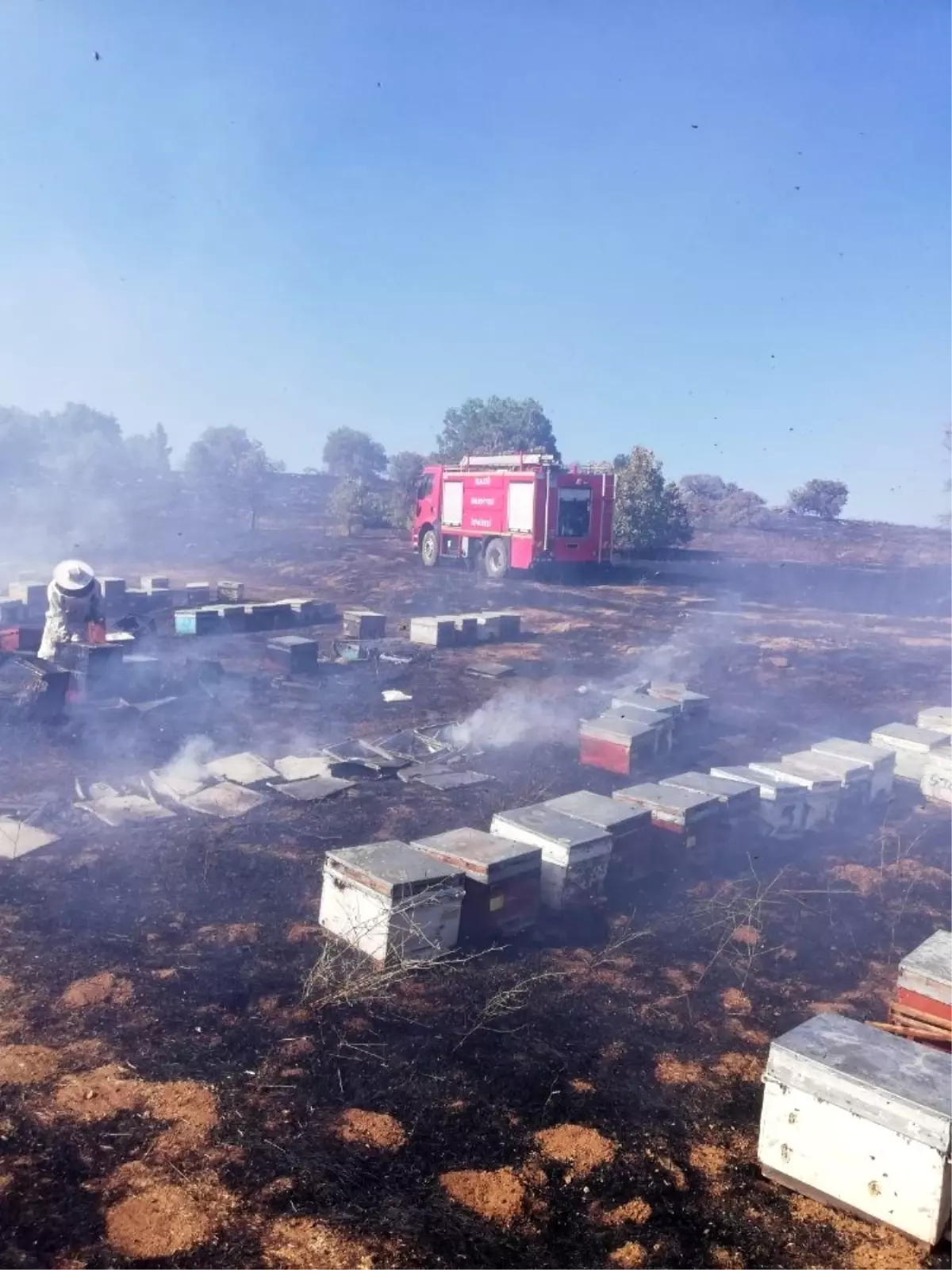 Yangında 830 adet kovan kül oldu