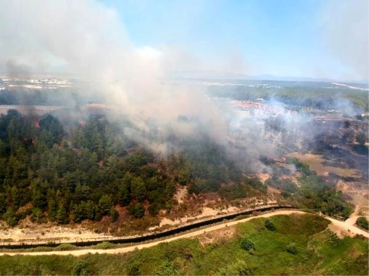 Antalya Aksu\'da orman yangını