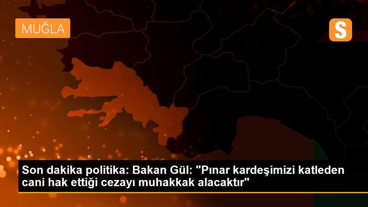 Son dakika politika: Bakan Gül: "Pınar kardeşimizi katleden cani hak ettiği cezayı muhakkak alacaktır"