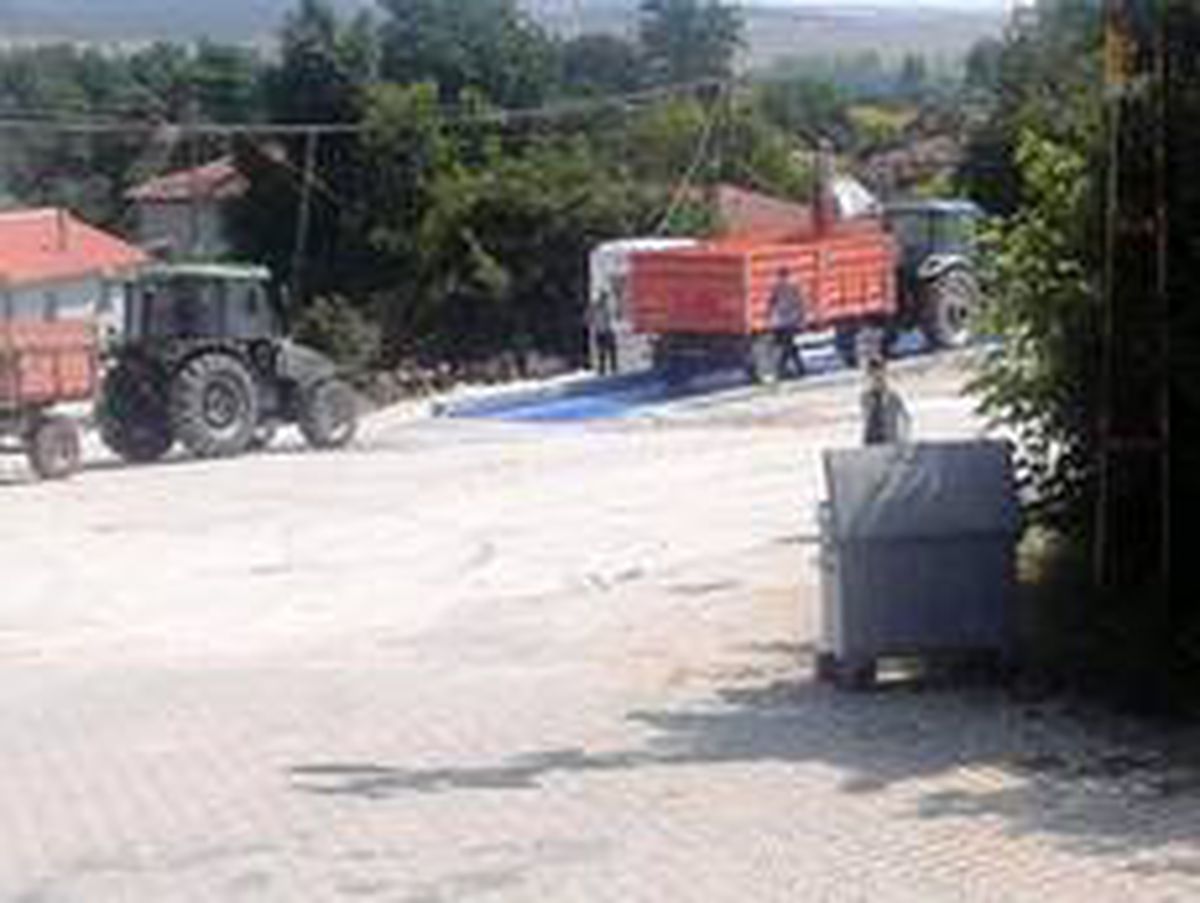 Bozüyük\'te hububat alımı başladı