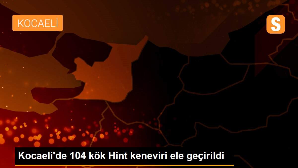 Kocaeli\'de 104 kök Hint keneviri ele geçirildi