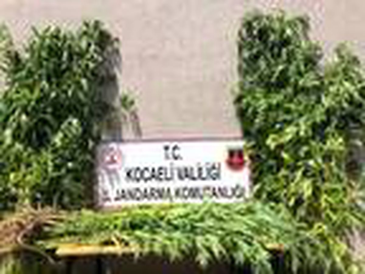 Mısır tarlasında kenevir operasyonu