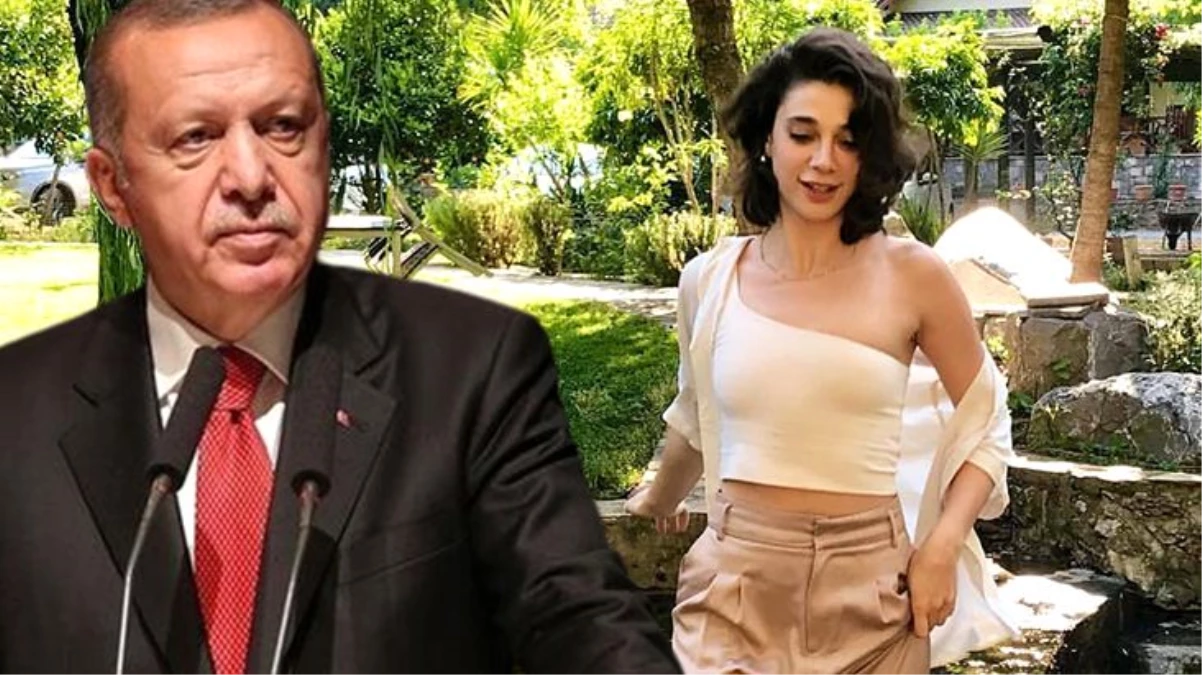 Son Dakika: Cumhurbaşkanı Erdoğan: Pınar\'ın acısı bizleri kedere boğdu, davanın bizzat takipçisi olacağım