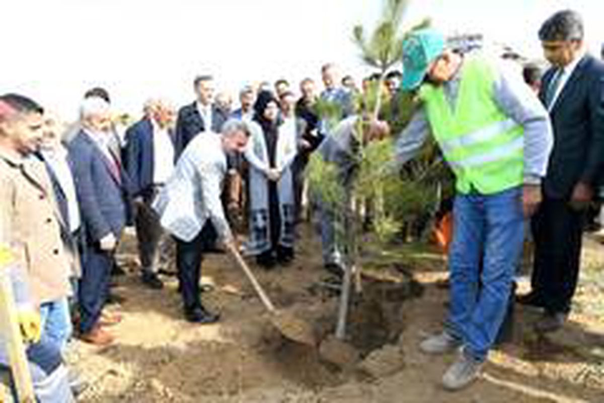 Yeşilyurt\'ta 15 ayda 26 bin 589 metrekare alan yeşillendirildi