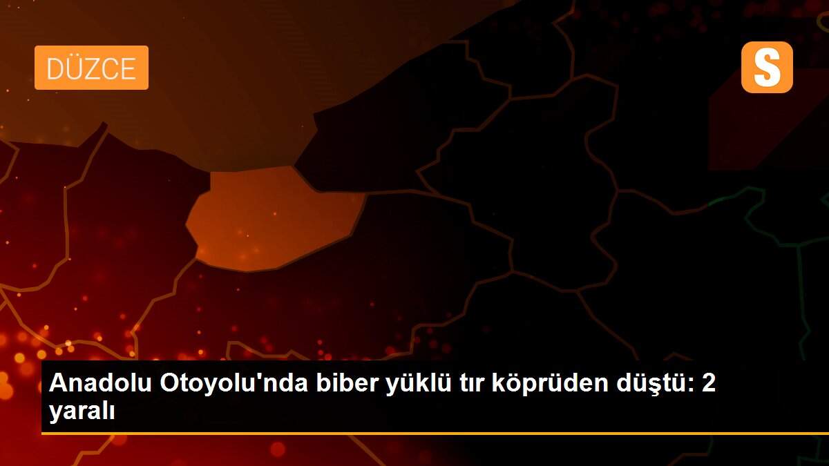 Anadolu Otoyolu\'nda biber yüklü tır köprüden düştü: 2 yaralı