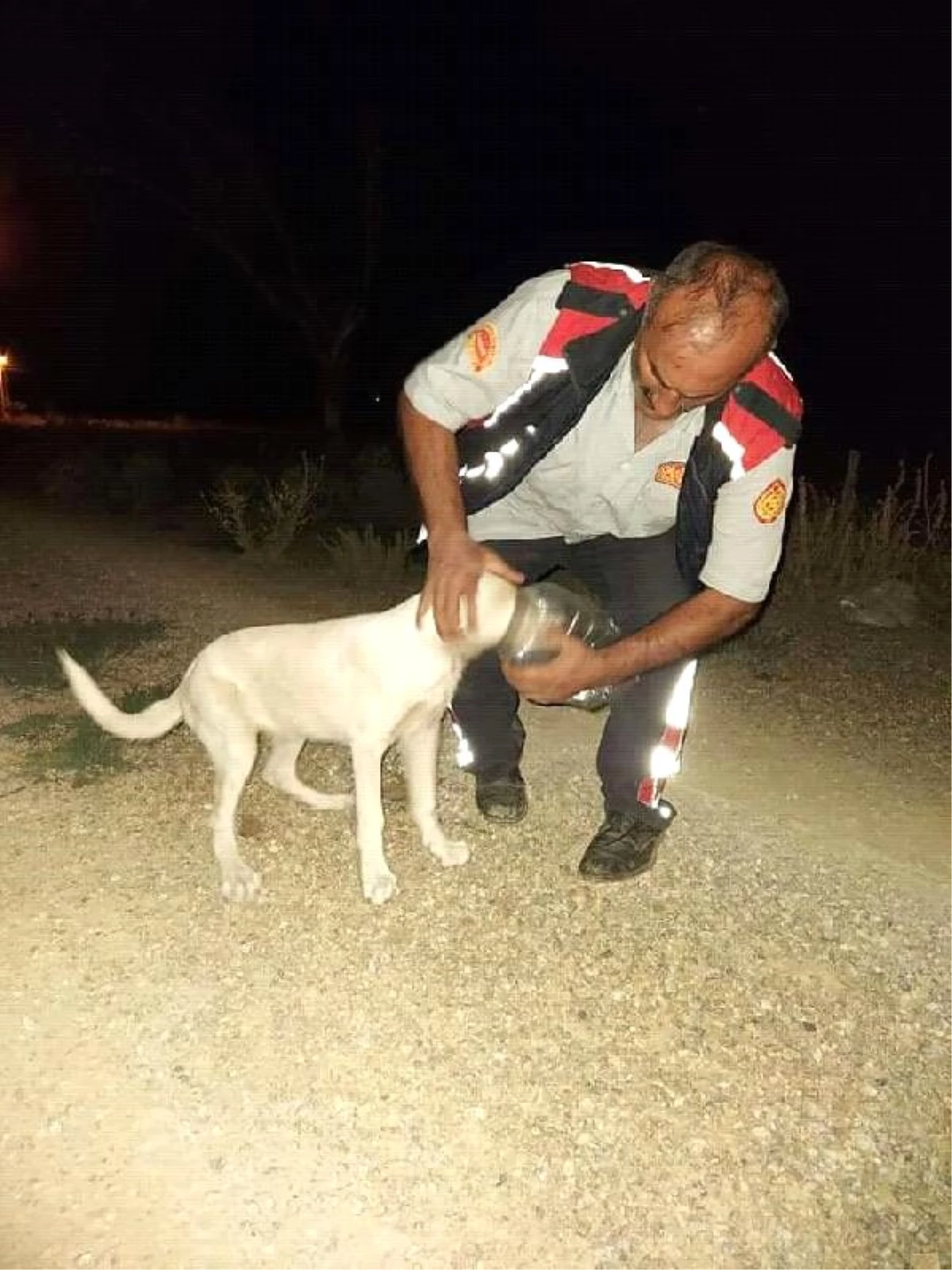 Başı bidona sıkışan köpeği itfaiye kurtardı