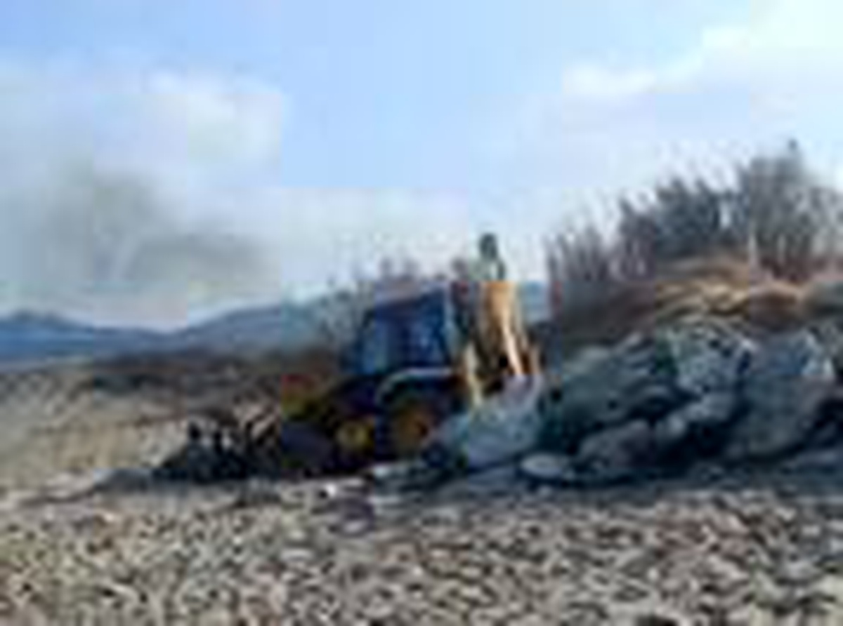 Caretta caretta yuvalama alanına giren iş makinesi yumurtaları telef etti