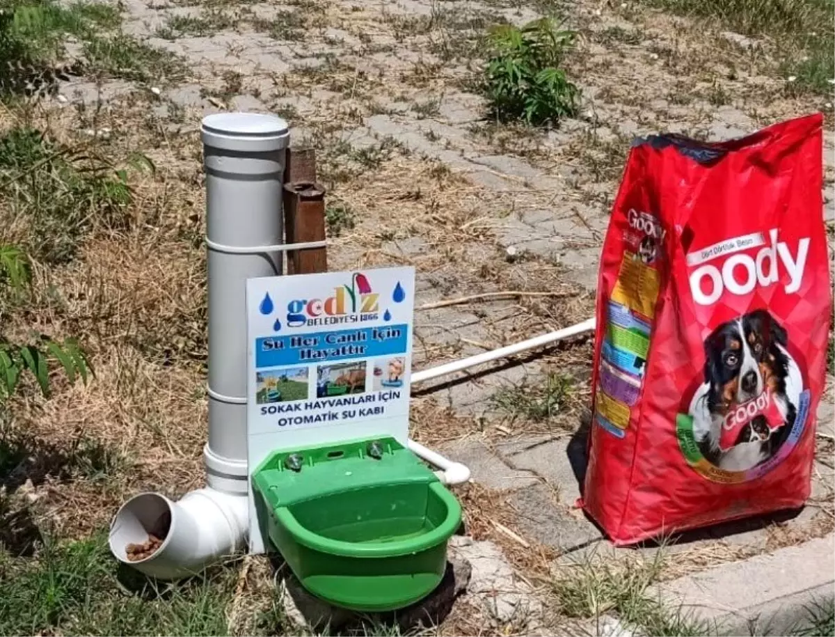 Gediz Belediyesi\'nden sahipsiz sokak hayvanları için bir kap yemek bir kap su