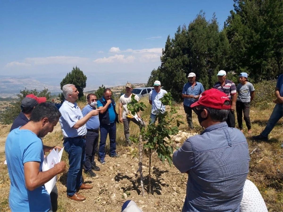 Köylülere, gelir getirici türlerin bakımıyla ilgili eğitim verildi