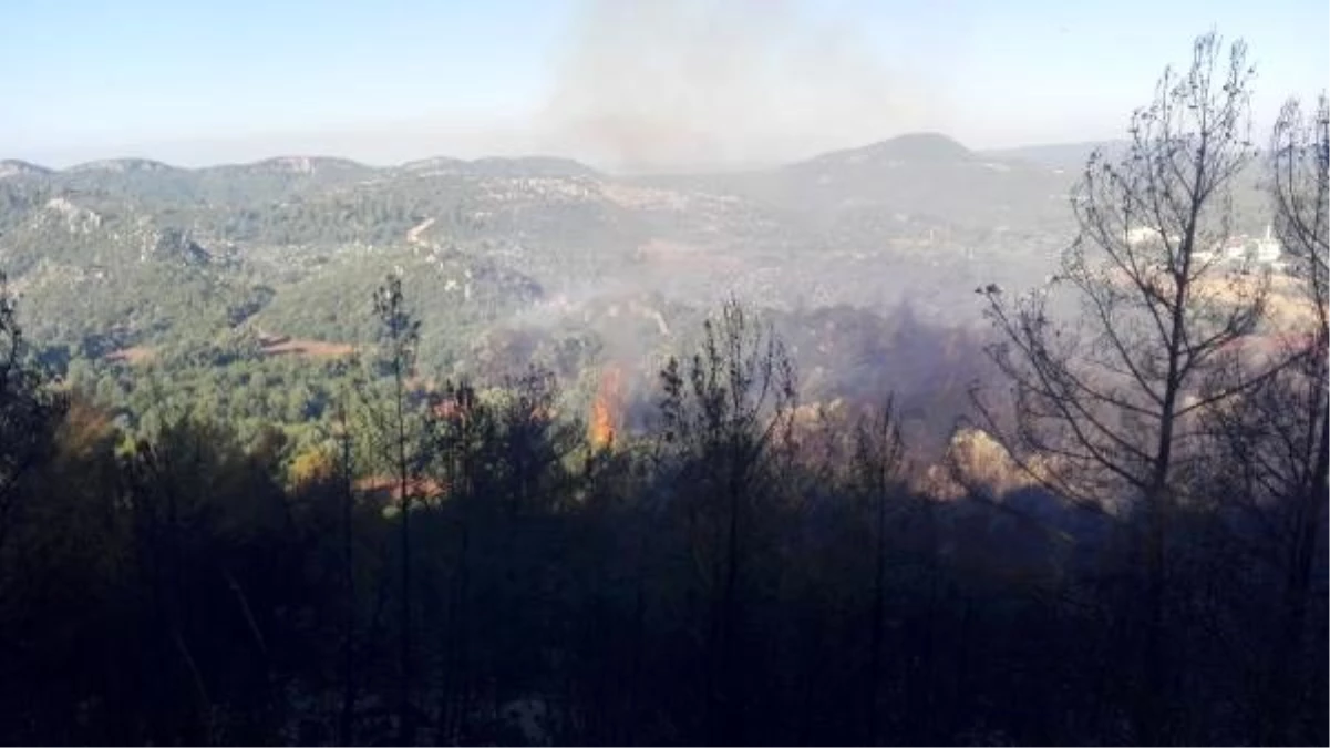 Manavgat\'ta orman yangını (4)