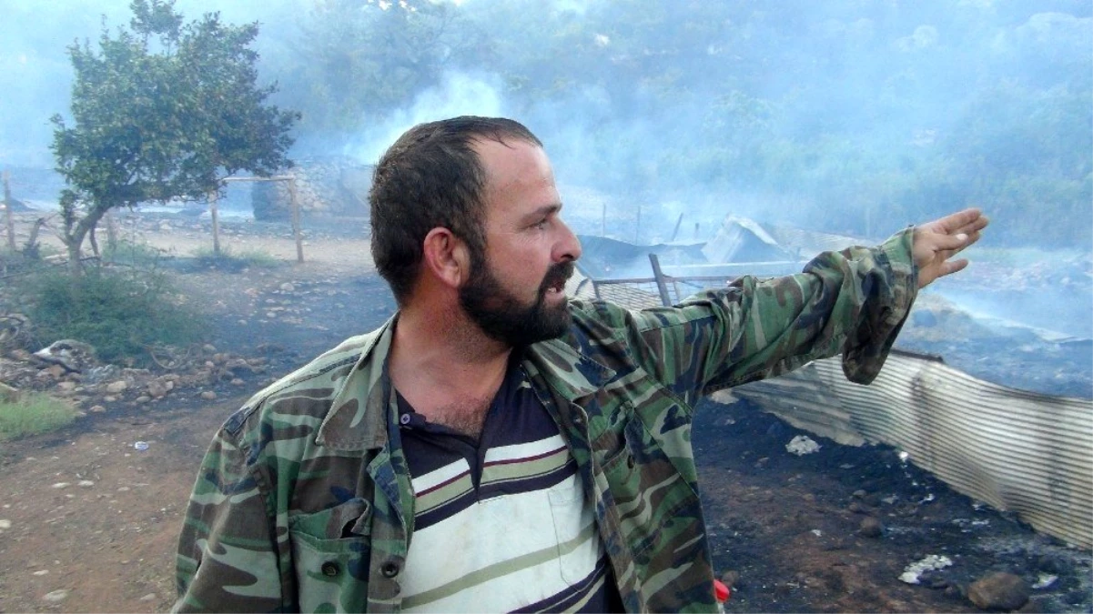 Son dakika haber | Orman yangınında ağılları yanan vatandaş gözyaşlarına hakim olamadı