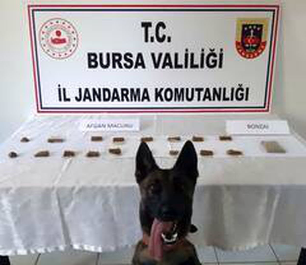 Uyuşturucu satıcısına operasyon